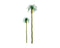 JTT Scenery Professional Tree, Palm 3" (4) (94238)