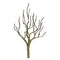 JTT Pro Tree Armatures: Deciduous 2.5'' 4pk (94112)